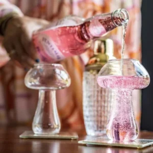 Mushroom Cocktail Glass